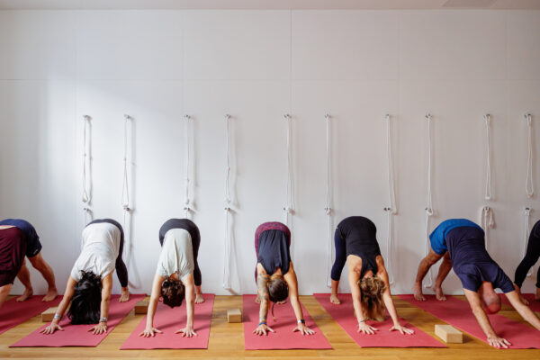 Atelier de yoga Iyengar à Nantes